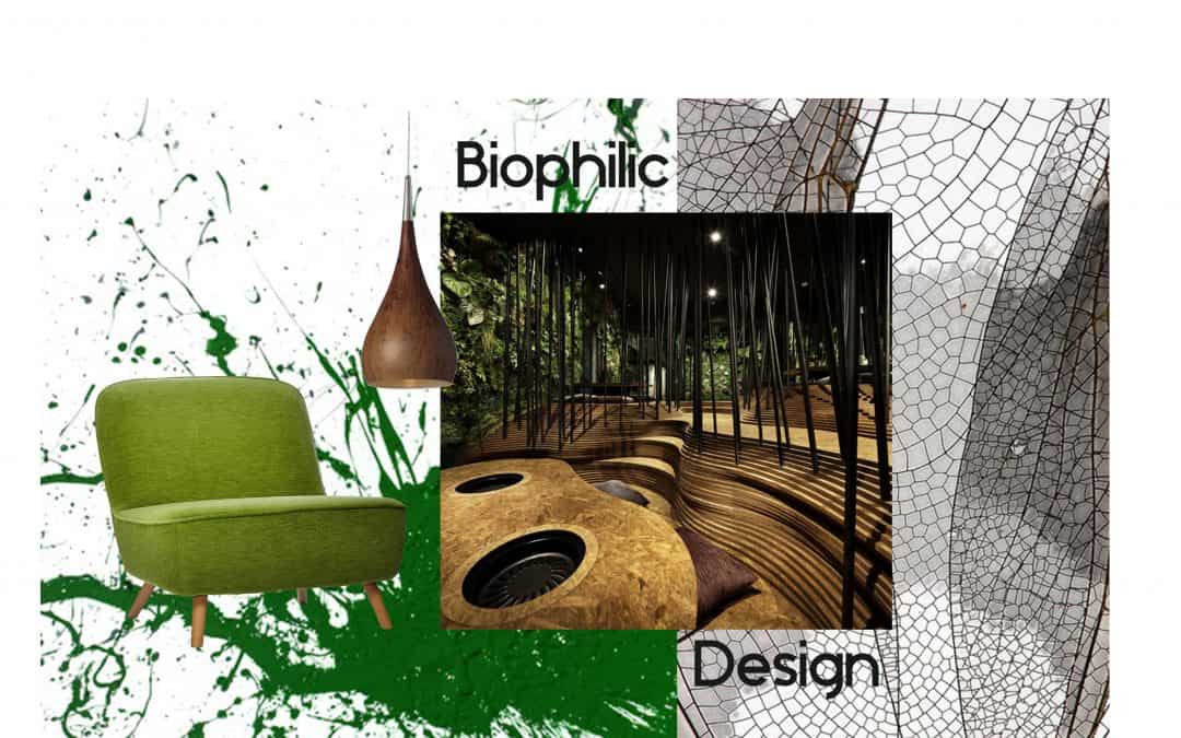 How to incorporate Biophilic Design into your Home Interior